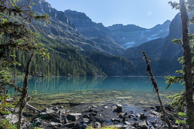 Gorgeous emerald green glacier fed lake from the shoreline