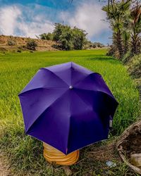Umbrellas on field against sky