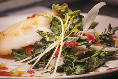 Close-up of salad in plate
