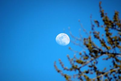 Low angle view of moon against blue sky