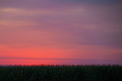 Scenic view of field against sky during sunset