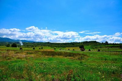 Scenic view of landscape against blue sky