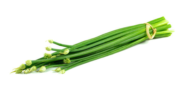 Close-up of green leaf against white background