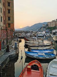 Boats moored at harbor during sunset