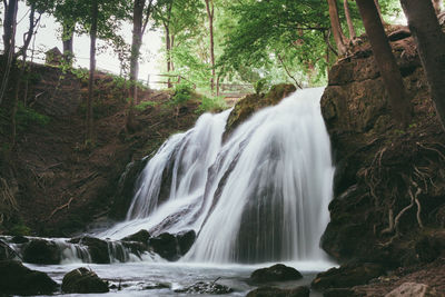 View of waterfall in forest