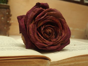 Close-up of rose on book