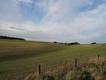 Scenic view of agricultural field against sky