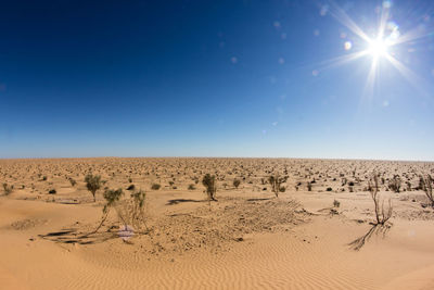 Scenic view of beach against blue sky