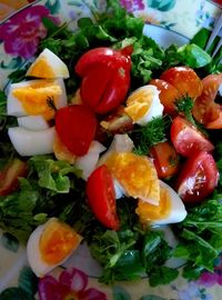 Close-up of multi colored salad