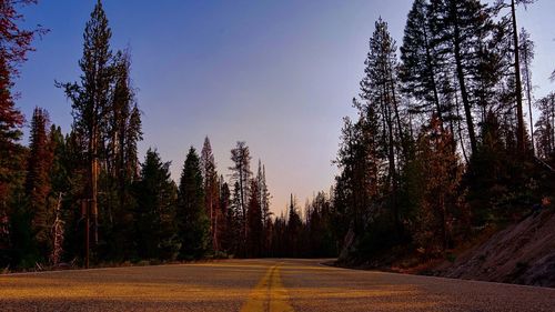 Road amidst trees in forest against clear sky