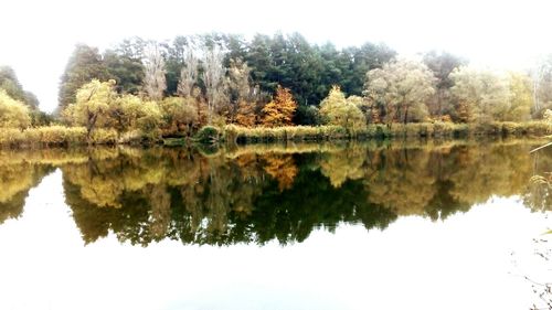 Reflection of trees in lake against clear sky