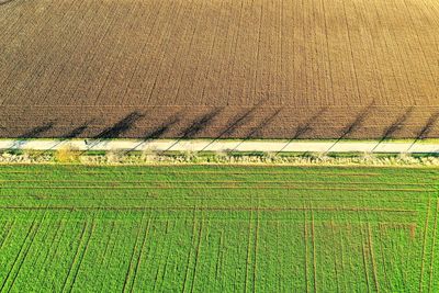 High angle view of agricultural field