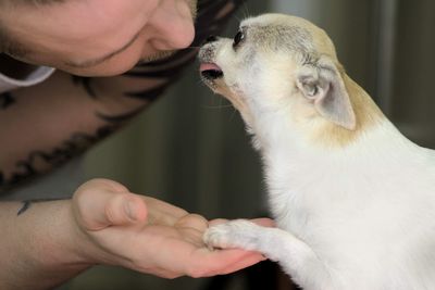 Close-up of man holding dog