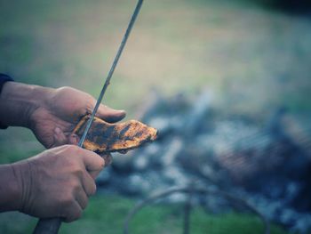 Cropped hands of man holding grilled food 