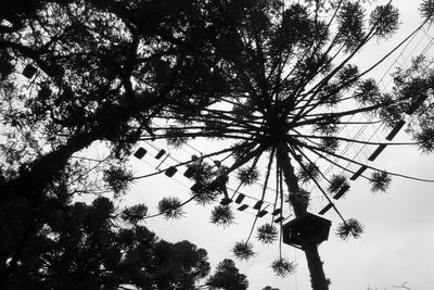 Low angle view of trees against sky