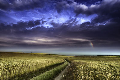 Scenic view of agricultural field against sky