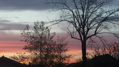 Low angle view of bare trees against sky