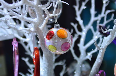 Close-up of christmas decorations on snow