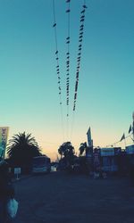 Palm trees against clear sky