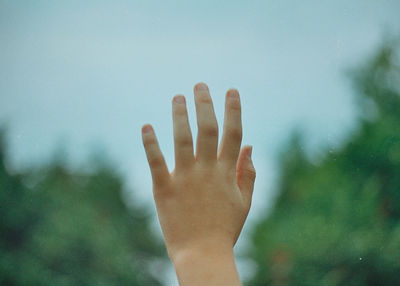 Cropped hand of person against sky