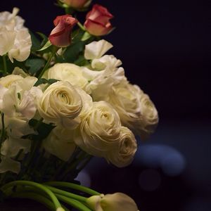 Close-up of white rose blooming outdoors