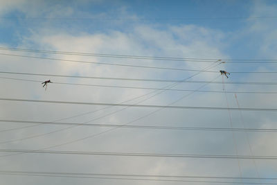 Low angle view of birds flying against sky