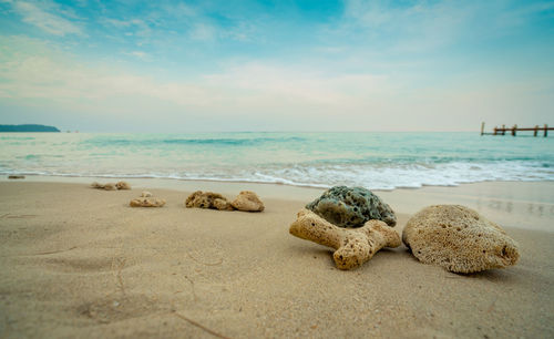 Scenic view of sea shore against sky