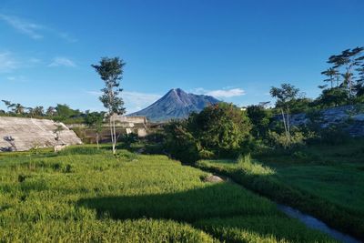 Merapi mountain 