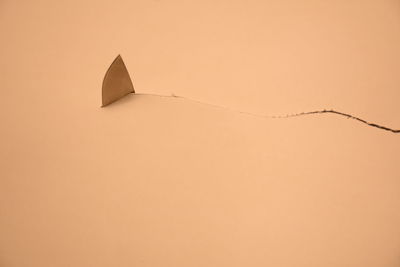Close-up of umbrella against orange sky