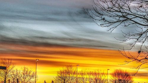 Low angle view of silhouette bare trees against sky during sunset