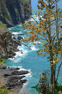 Scenic view of sea and trees