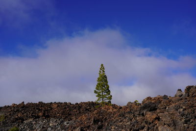 Low angle view of rock against sky