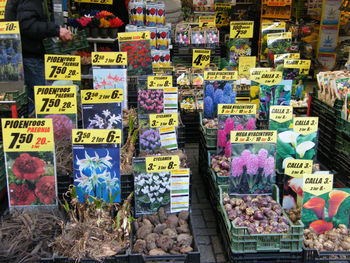 Various vegetables for sale in store