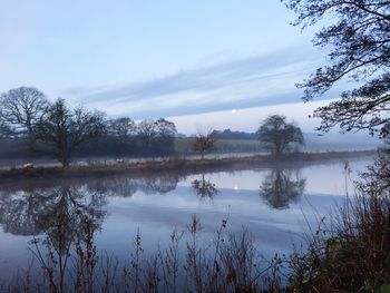 Reflection of trees in lake