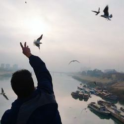 Birds flying over lake against sky