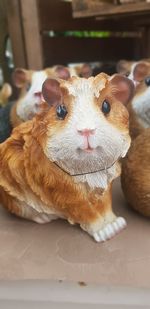 Close-up portrait of a rabbit