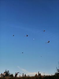 Low angle view of birds flying in sky