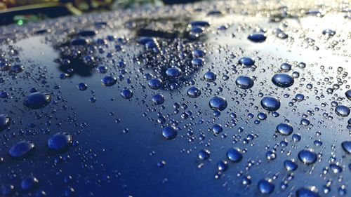 Close-up of water drops on black background