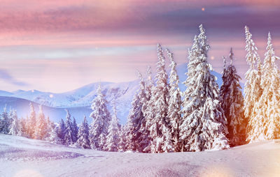 Majestic landscape with forest at winter time. scenery background.