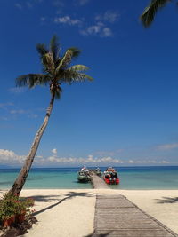 Palm trees on beach against sky