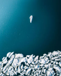 View of jellyfish swimming in sea