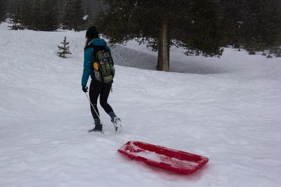 Rear view of man with umbrella on snow