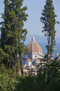 View of trees and building against sky