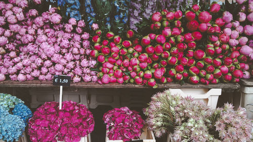 Pink flowering plants at market stall