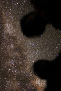 Close-up of star field against sky at night