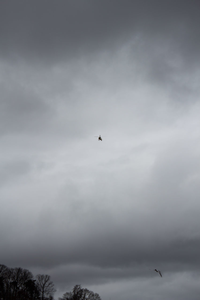 LOW ANGLE VIEW OF SILHOUETTE BIRDS FLYING AGAINST SKY