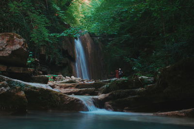 View of waterfall in forest