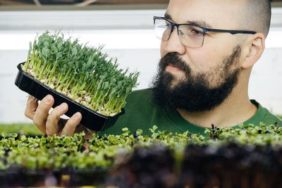 Male farmer growing microgreens on his indoor vertical garden. small business owner