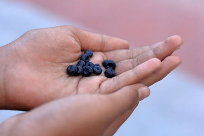 Close-up of human hand holding fruit