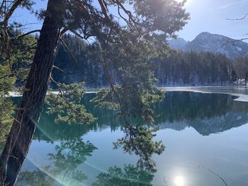 Reflection of trees in lake against sky